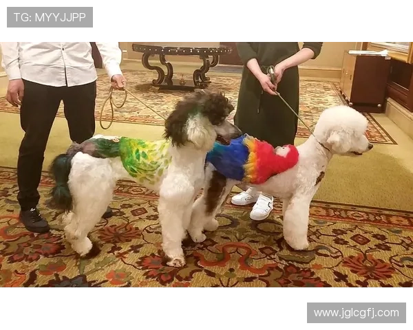 张伯霖分享摇篮舞庆祝喜讯家中爱犬迎来两只可爱小狗出生